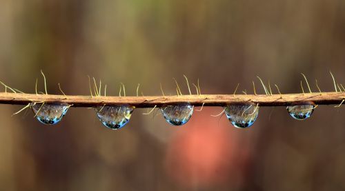 drip mirroring water