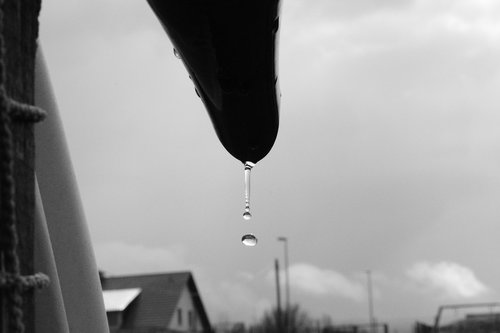 drip  black and white  contrast