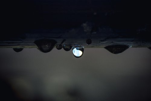drip  wet  rain