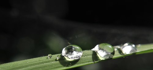 drip  rain  water