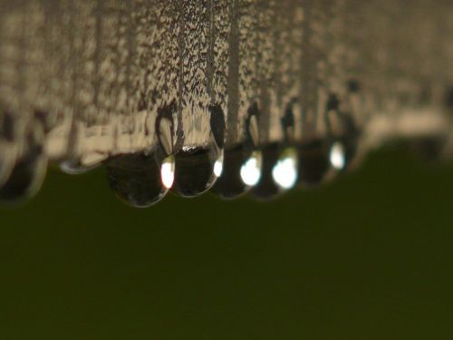 drip raindrop water