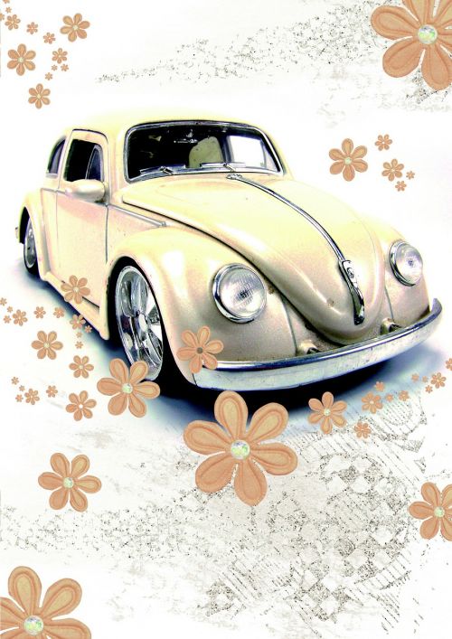 driver's license vw beetle beetle