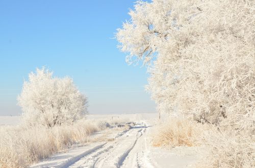 driveway road hoarfrost