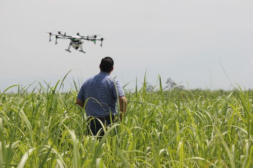 drone precision agriculture crops