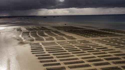 drone  beach  sea