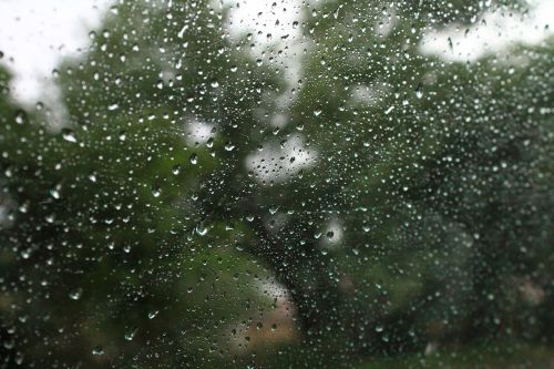 drop rain glass