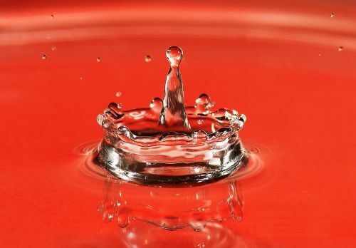 drop water macro