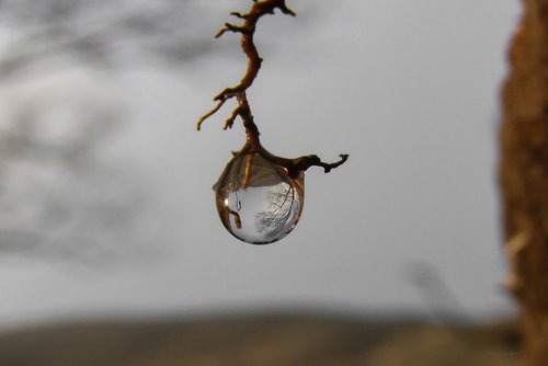 drop  water  nature