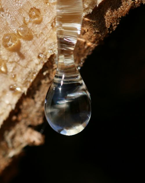 drop of resin bitumen wood