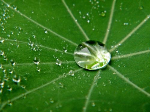 drop of water water transparent