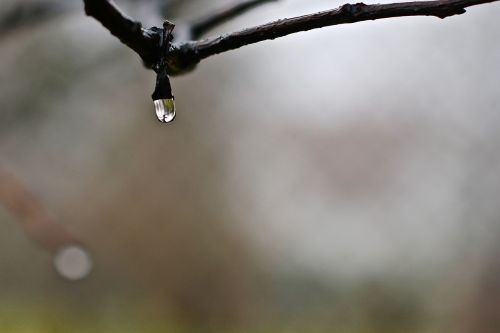 drop of water autumn rain