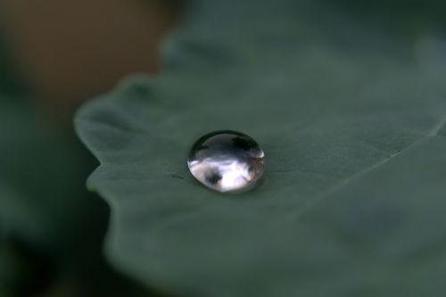 drop of water drip reflection