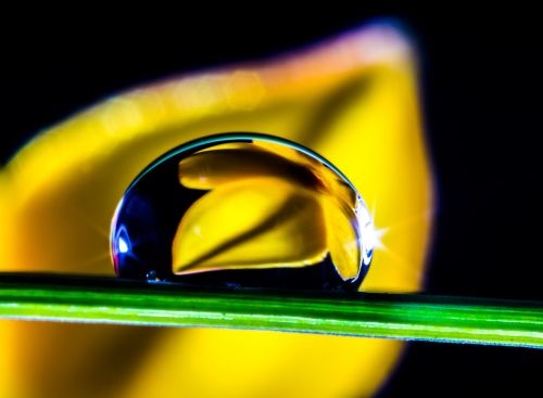drop of water drip blade of grass
