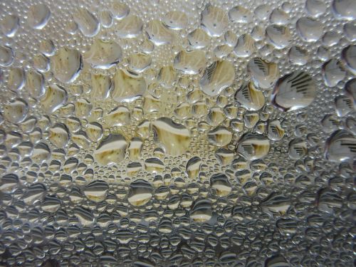 drop of water condensation wet