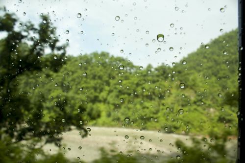 droplets water leaf