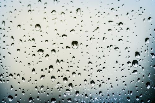 drops rain window