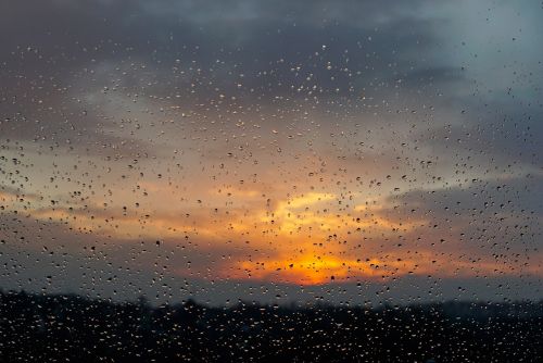 drops rain sunset