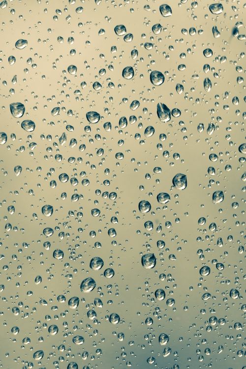 drops rain drops of water