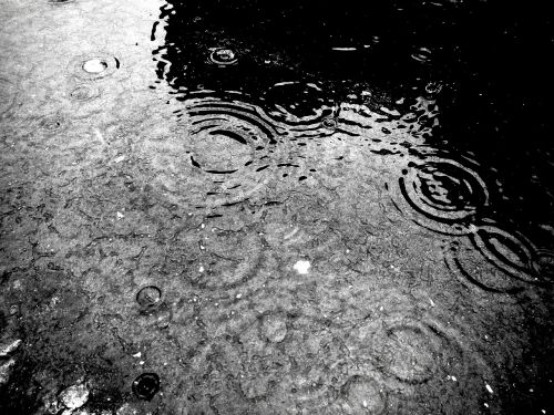 drops rain wet
