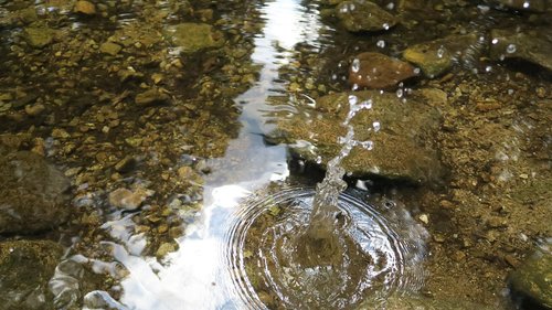 drops  stream  krkonose