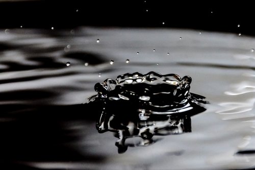 drops  water  wet