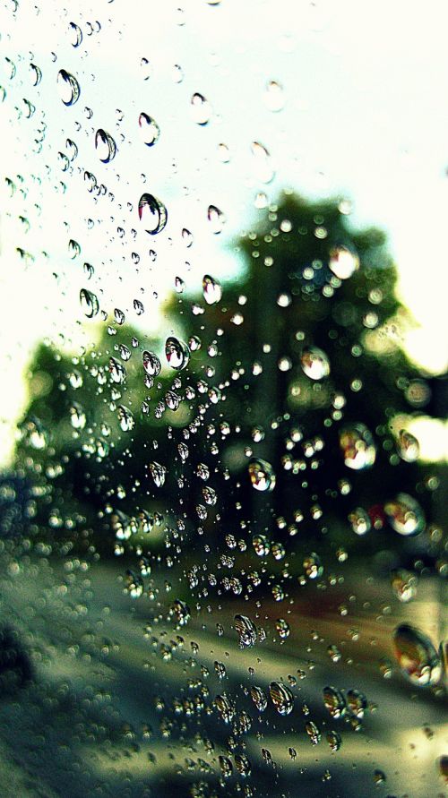 drops rain water