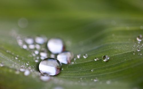 drops drops of water water
