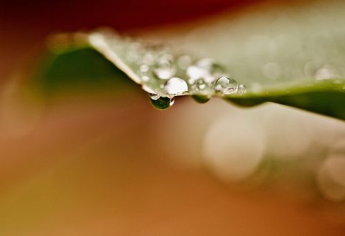 drops drops of water water