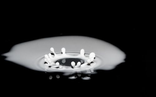 drops of milk spray splash