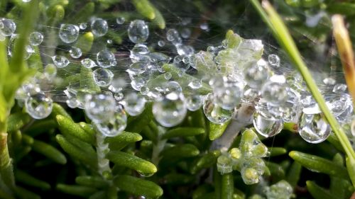 Drops Of Water
