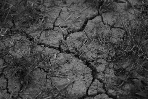 drought cracks dehydrated