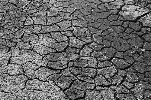 drought mud dry
