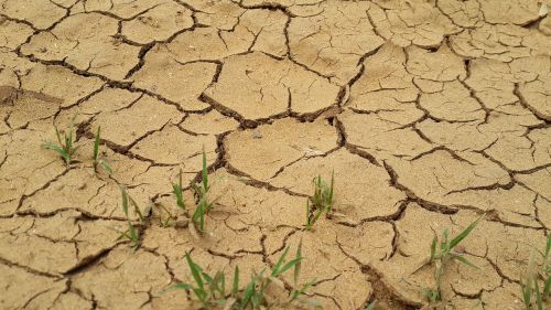 drought gravel ground