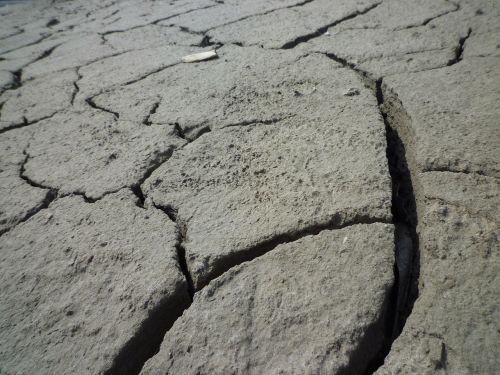 drought dehydrated cracks