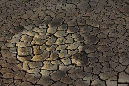 drought dry mud cracked