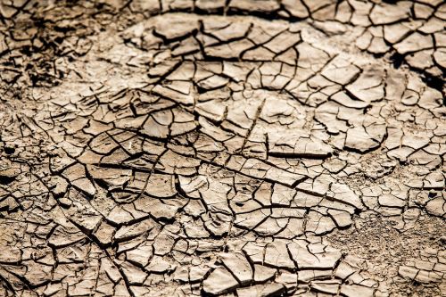 drought dry arid