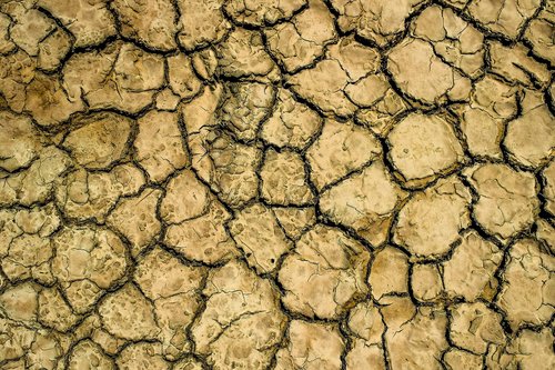 drought  aridity  aridness