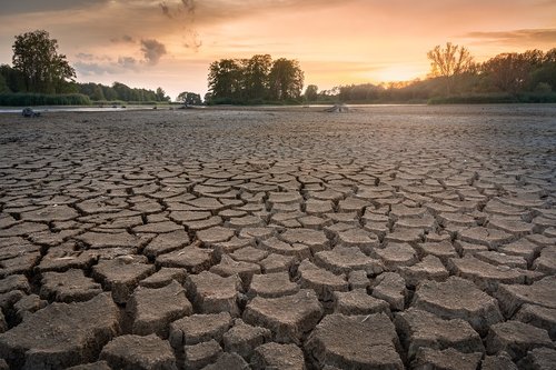 drought  cracks  dry