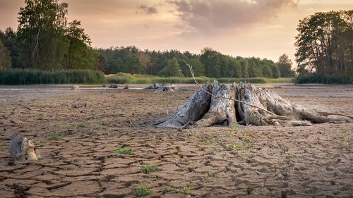 drought  cracks  dry