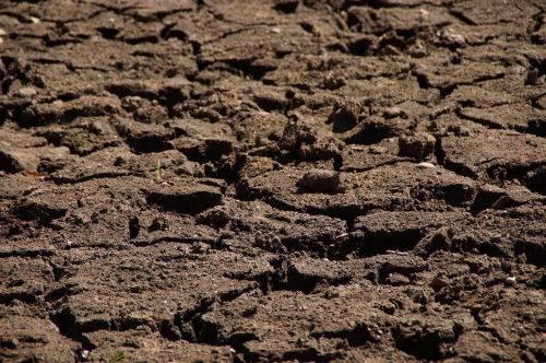 drought dry nature