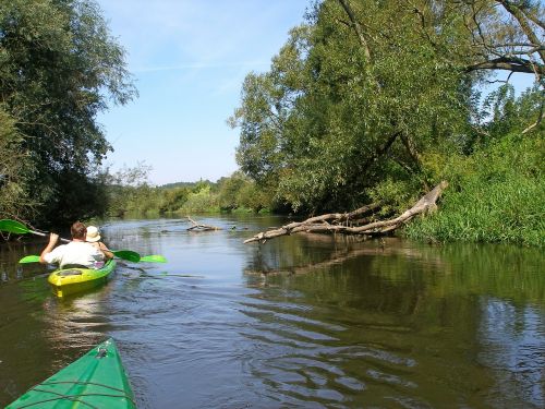 drwęca river kayaks