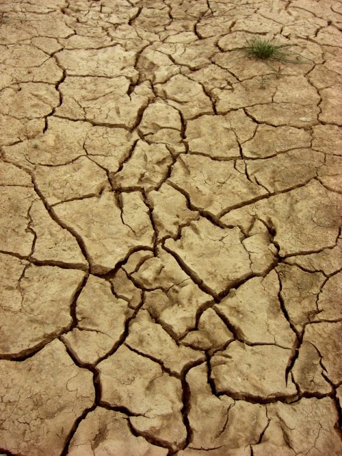 dry earth dehydrated