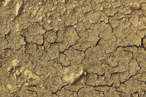 dry  ground  cracks