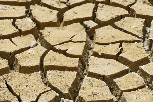 dry  dehydration  drought