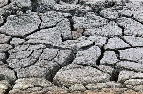 dry soil yellowstone national park