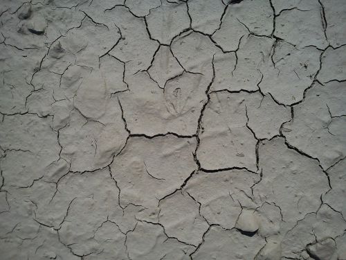 dry cracks ground