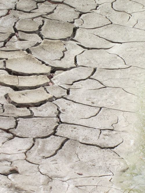 dry cracked drought