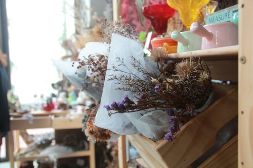 dry flowers  flower room  sunlight