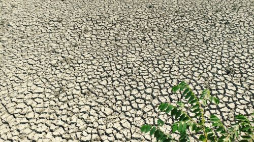 dry mud earth surface salty ground