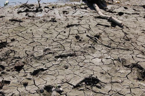 dry soil river coast